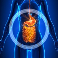 glowing gut image