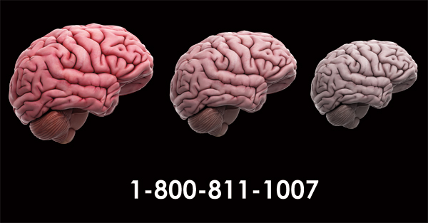 brain health omega-3