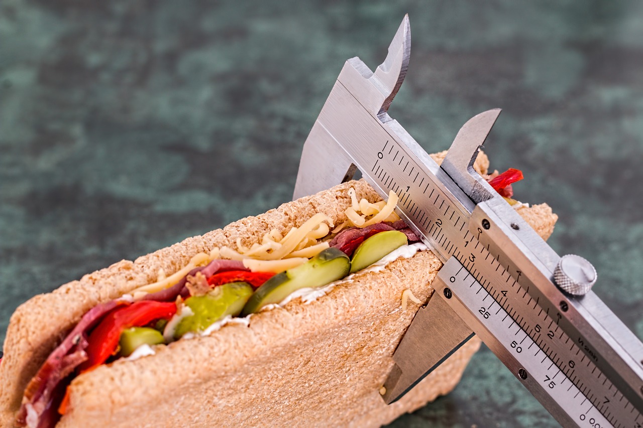 sandwich being held by calipers