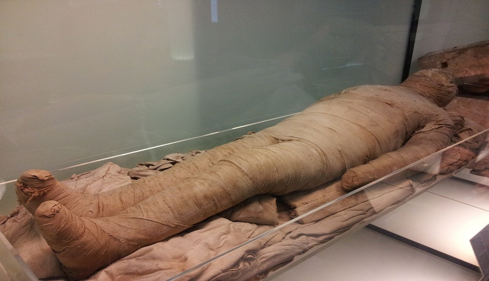 mummy displayed in case at museum
