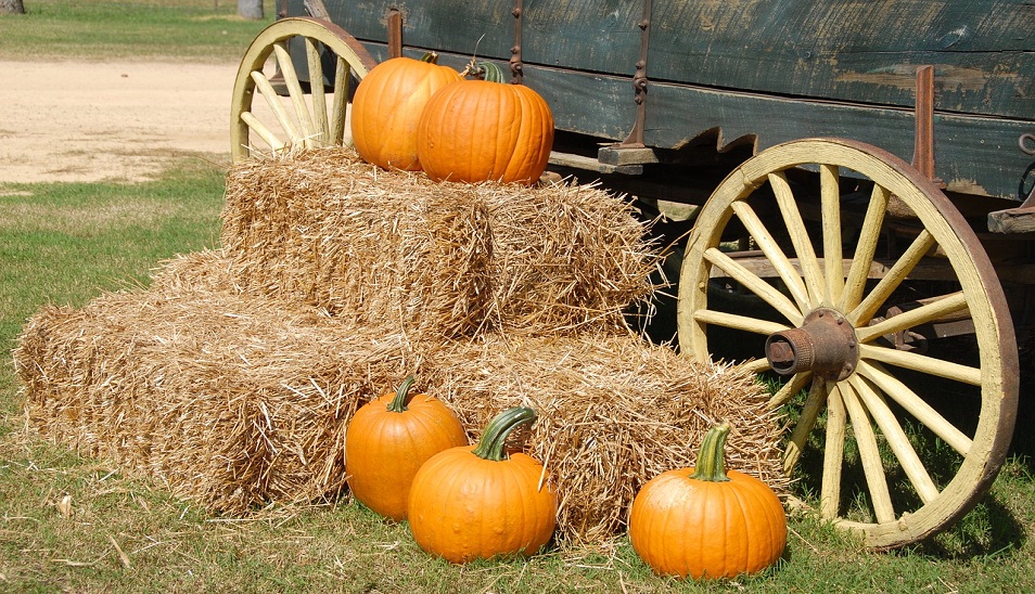 pumpkins sitting on hay stacks in front of wagon