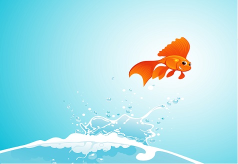 Omega-3, Food for Your Brain, Especially A Developing Brain