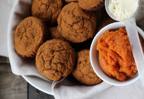 Pumpkin Protein Muffins