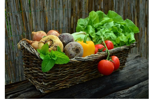 colorful assortment of vegetables in wicker basket in front of wooden fence