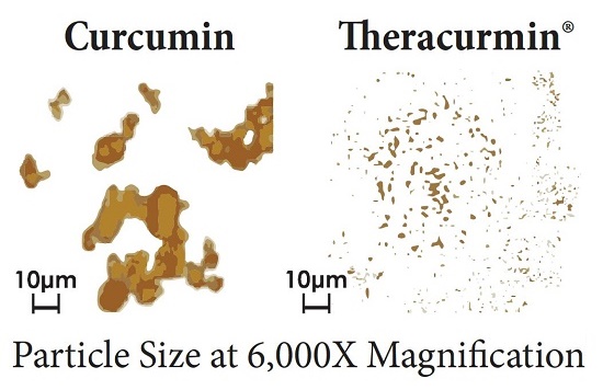 particle size of curcumin vs smaller nano particle theracurmin under microscope