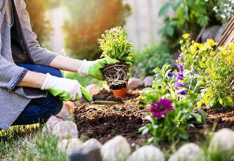 The Fountain of Youth in a Patch of Dirt: Let Nature Nurture You