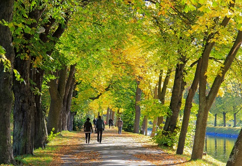 Be Like Harry - Get Outside for a Brisk Morning Walk